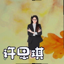 许思琪