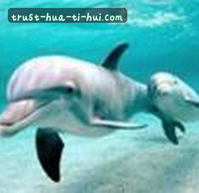 孙浩